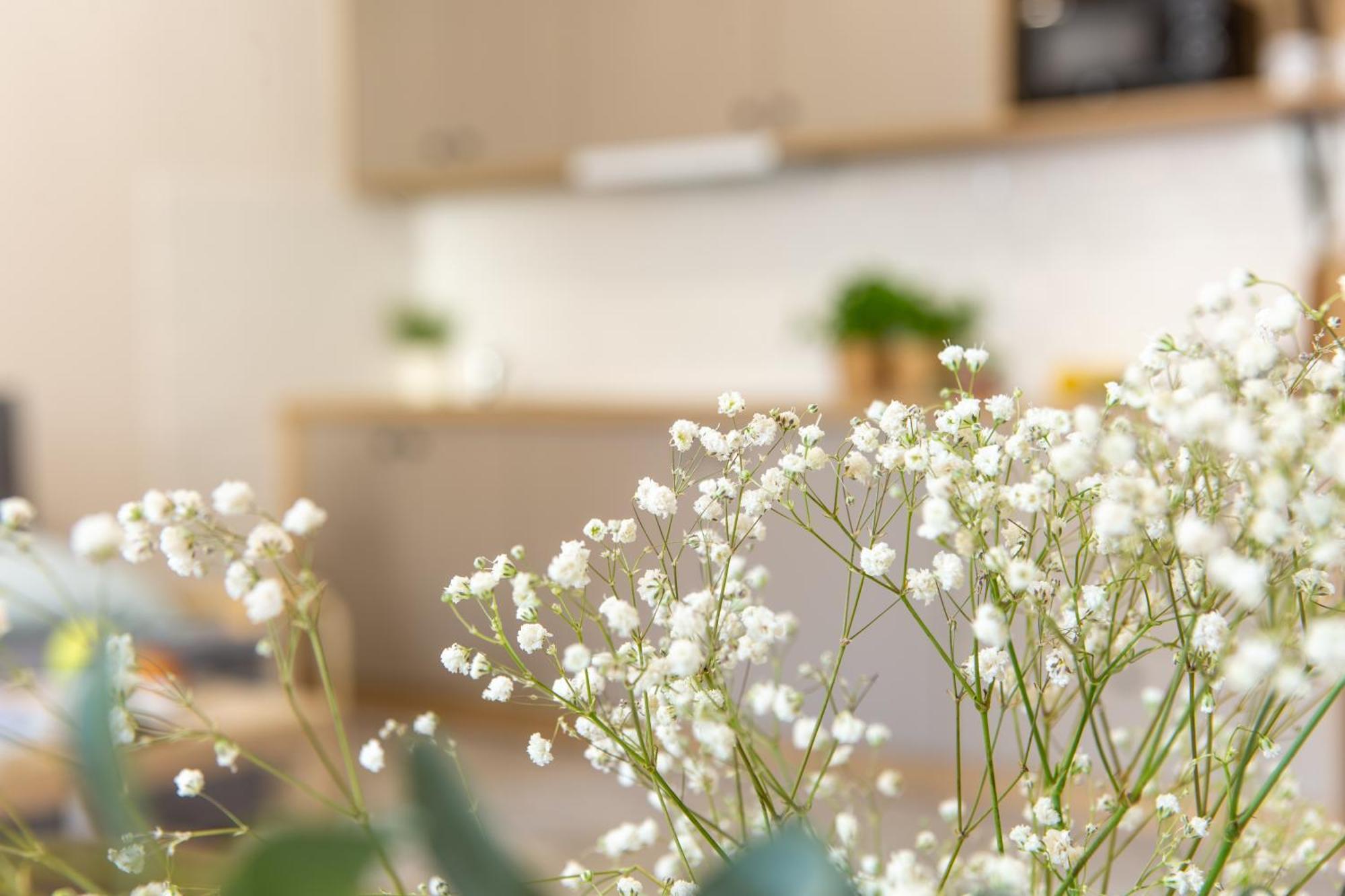 Apartamenty Kdn Na Rysiej カトヴィツェ エクステリア 写真
